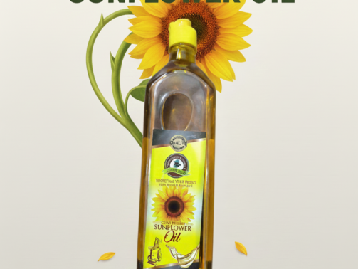 Gemini_Generated_Image_1ov6b41ov6b41ov6